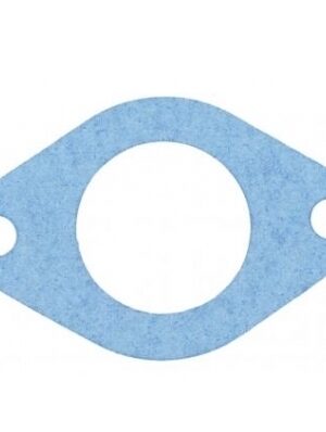 Carburetor gasket