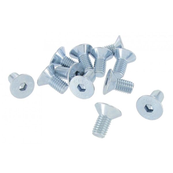 Hexagon hinge bolts (12 pieces)